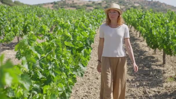 Dolly zastřelila sebevědomou bělošku, která se procházela po plantáži vinné révy za slunečného dne na Kypru. Krásná samička vína kráčí ve zpomaleném pohybu při pohledu na pěstované rostliny. — Stock video