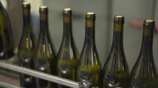 Parafa borosüvegek szállítják a szállítószalagot a pincészetben. Egy közeli alkoholos ital palackozása és címkézése a borgyárban. Borkészítési üzleti koncepció. — Stock videók