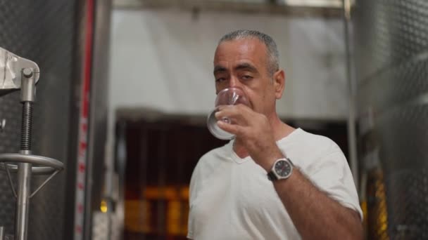 Concentrado sommelier masculino cheirando vinho tinto sacudindo vidro com bebida em câmera lenta. Retrato de homem caucasiano focado degustação de álcool em ambientes fechados em pé na fábrica de vinhos. — Vídeo de Stock