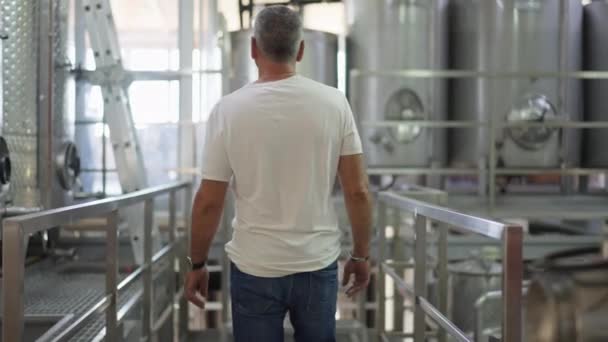 На зворотному боці видно, як упевнений кавказький чоловік повільно ходить на винній фабриці. Чоловічий виноробів перевіряє якість процесу очищення напоїв у приміщенні. Концепція виробництва алкоголю. — стокове відео