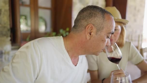 Side view concentrated Caucasian man smelling red wine in glass in hand of focused woman. Expert male and female sommeliers tasting high-quality expensive beverage in winery outdoors on terrace. — Stock Video