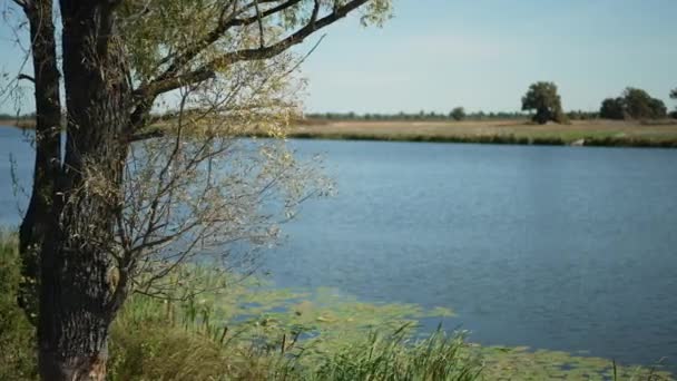 Wide shot beautiful Ukrainian landscape outdoors on sunny summer day. Blue river waters flowing in sunshine along green coastline. Nature concept. — Wideo stockowe