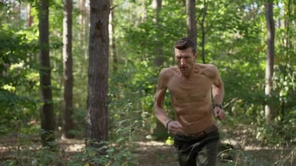 Live camera follows confident athletic fit man jogging in slow motion in sunny forest. Panning shot of concentrated Caucasian topless sportsman running training in woodland outdoors. Sport and health. — Vídeos de Stock