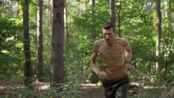 Cámara en vivo sigue confiado atlético en forma hombre corriendo en cámara lenta en el bosque soleado. Panning shot de concentrado caucásico en topless deportista corriendo entrenamiento en bosques al aire libre. Deporte y salud. — Vídeo de stock