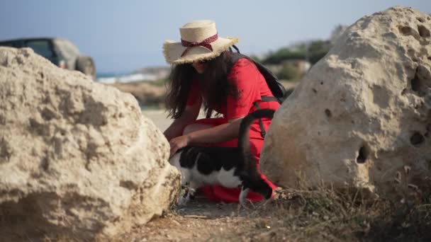 Boldog nő simogatja a macskát lassított felvételben ül hunkers a napsütésben a szabadban. Széles lövés mosolygós nyugodt kaukázusi női turista élvezi utazik Cipruson a nyári vakációk. — Stock videók