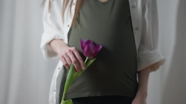 Gravid kvinna med lila tulpan stående inomhus utsikt. Oigenkännlig kaukasisk förväntan med blomma njuter fritid. — Stockvideo