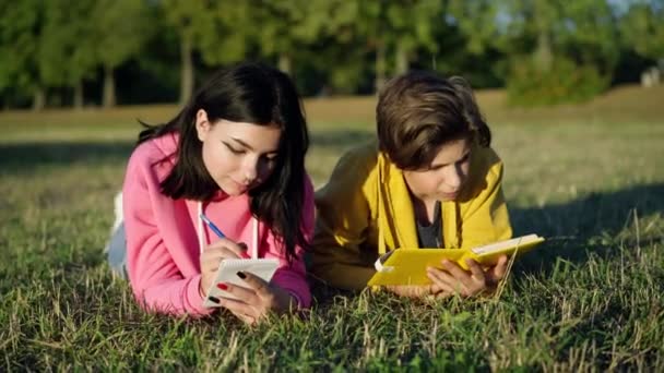公園の屋外で日当たりの良い牧草地に横たわって書く読書10代の男の子と女の子が集中 晴れた週末に宿題をするインテリジェントクラスメートのフロントビューの肖像画 友情の概念 — ストック動画