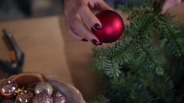 Hembra Manos Caucásicas Probando Decoración Navidad Rama Pino Verde Mujer — Vídeos de Stock