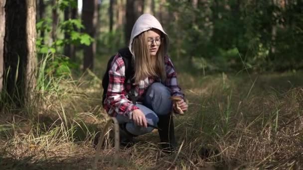 年轻自信女子的画像 戴着眼镜 慢动作用刀割蘑菇 坐在室外森林里 快乐的高加索冒险家享受秋天森林里采摘的蘑菇 — 图库视频影像