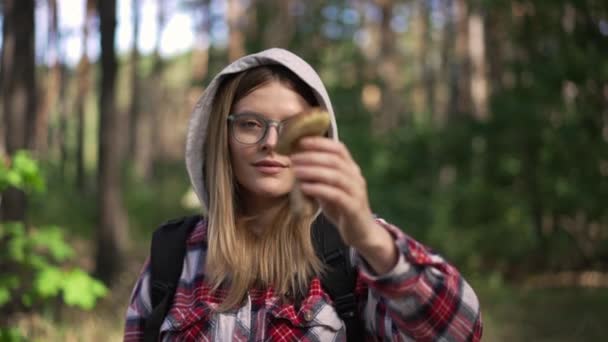 拉克的注意力从美丽的微笑的女人转移到白种人手中的蘑菇 有信心的年轻采集者周末在外面的春秋森林采摘真菌 慢动作 — 图库视频影像