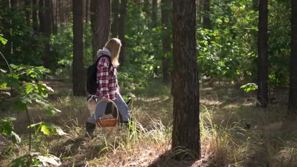 Вид Сбоку Молодая Женщина Прогуливается Собакой Лесу Поисках Грибов Деревьями — стоковое видео