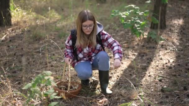 Femme Blanche Assise Des Champignons Vénéneux Sans Regarder Caméra Portrait — Video