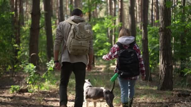 Rastreamento Tiro Casal Confiante Caminhantes Andando Com Cão Floresta Ensolarada — Vídeo de Stock
