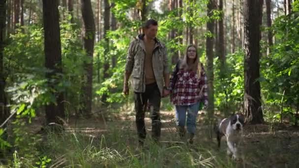 Wide Shot Couple Walking Forest Holding Hands Dog Running Slow — ストック動画