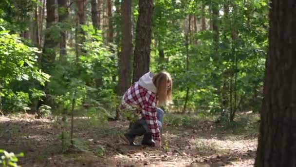 Eine Junge Frau Pflückt Brennholzzweige Wald Und Läuft Bei Sonnenschein — Stockvideo