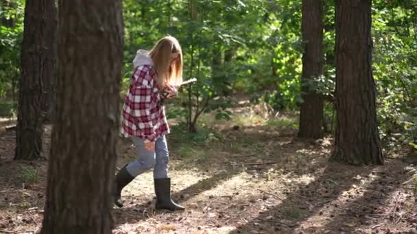 Live Camera Follows Young Woman Walking Sunshine Forest Gathering Branches — ストック動画