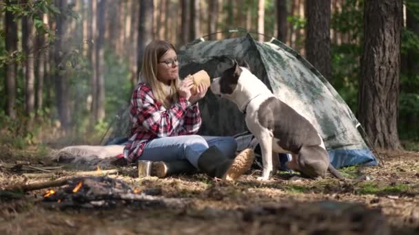 Sorrindo Positivo Mulher Compartilhando Pão Com Cão Sentado Tenda Fogueira — Vídeo de Stock