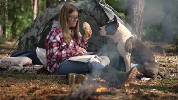 Eine Frau Mit Hund Sitzt Zelt Und Lagerfeuer Und Begutachtet — Stockvideo