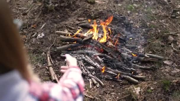 Shooting Shoulder Young Woman Throwing Firewood Burning Bonfire Forest Unrecognizable — Stockvideo
