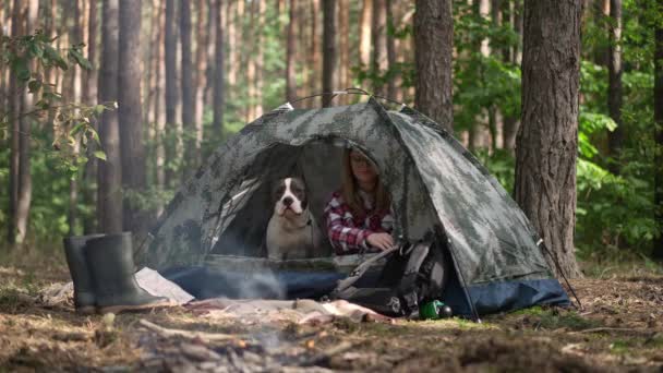 Wide Shot Young Woman Dog Sitting Tent Closing Zipper Slow — Stockvideo