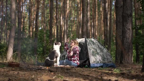 Entspannte Fröhliche Junge Frau Sitzt Zelt Wald Und Wirft Stöcke — Stockvideo