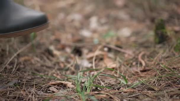 Pés Femininos Botas Borracha Passando Câmera Lenta Ensolarada Floresta Verão — Vídeo de Stock