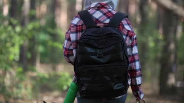 Back View Young Woman Backpack Basket Mushrooms Walking Dog Forest – stockvideo