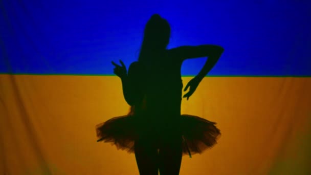 Pohled Zezadu Silueta Půvabné Talentované Baletky Zvedající Ruce Pozadí Ukrajinské — Stock video