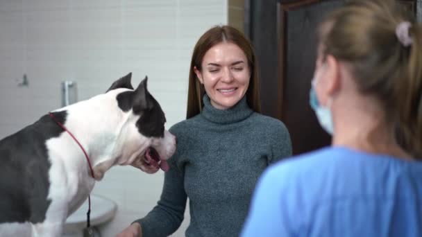 Happy Young Woman Smiling Shaking Hands Veterinarian Dog Jumping Arms — Video Stock