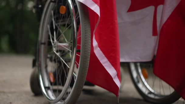 Canadian Flag Wheelchair Unrecognizable African American Man Enjoying Tranquility Forest — Stockvideo