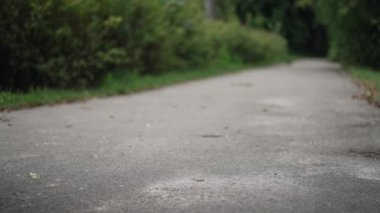 Summer park alley with wheelchair rolling in slow motion. Unrecognizable African American young man riding outdoors resting in forest. Leisure and disability concept