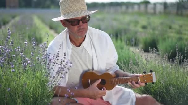 Romantyczny Biały Muzyk Ukulele Siedzący Lawendowym Polu Patrzący Zwolnionym Tempie — Wideo stockowe