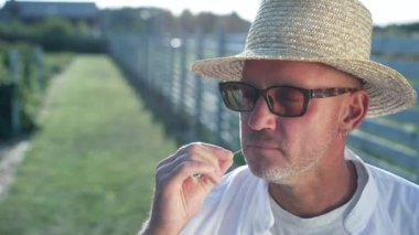 Close-up confident farmer in straw hat in sunbeam on the right with green garden at background. Satisfied adult Caucasian handsome man putting stem in mouth looking away in slow motion
