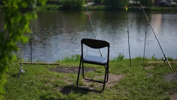 Fisher Chair Sunny Green Lawn Row Fishing Rods Outdoors River — Video