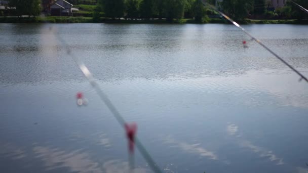 River Water Flowing Reflecting Summer Sky Blurred Row Fishing Rods — Vídeo de Stock