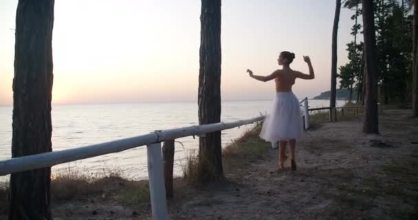 Wide Shot Graceful Ballerina Dancing Tiptoes Right Background Sunrise Sea — ストック動画