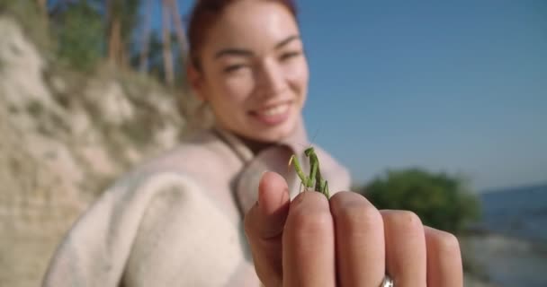 Close Mantis Claw Touching Female Finger Slow Motion Sunlight Blurred — Stockvideo