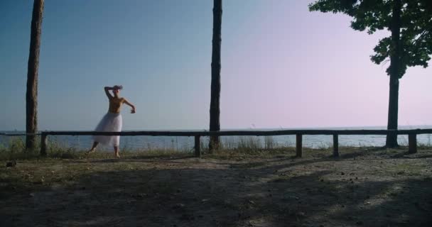 Wide Shot Summer Landscape Graceful Ballerina Walking Imitating Touching Glass — Stockvideo