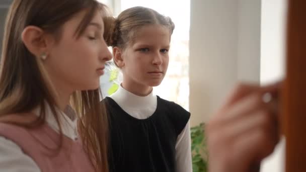 Portrait Concentrated Schoolgirl Listening Classmate Explaining Task Standing Chalkboard Curios — Vídeos de Stock