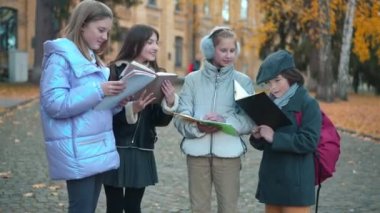 Group of positive classmates talking discussing homework standing on autumn schoolyard. Happy confident intelligent Caucasian girls and boy smiling chatting outdoors. Studying and education concept