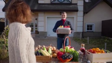 Handsome positive Caucasian adult man walking with box of pepper to table at farm market talking to blurred woman at front. Happy bearded farmer with grizzle hair selling organic products with wife