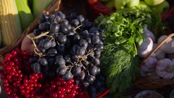 High Angle View Healthful Organic Berries Vegetables Sale Farm Market — Vídeo de stock
