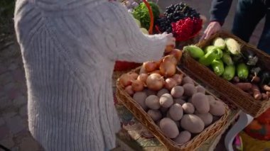 High angle view organic fruits and vegetables on table with farmer and buyer talking. Unrecognizable Caucasian man and woman gesturing selling and buying healthful local products on sunny autumn day