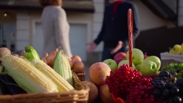 Close Fruits Vegetables Sunny Autumn Day Outdoors Blurred Unrecognizable Couple — Vídeo de stock
