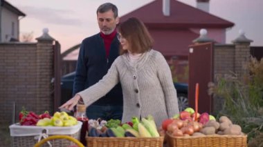 Confident woman in eyeglasses choosing box with organic vegetables as man taking products walking to car with spouse. Caucasian husband and wife buying healthful products on farm market in the evening