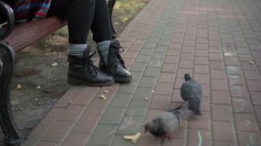 Park sokağında ekmek yiyen güvercinler ve bankta oturan tanınmayan evsiz kadınlar. Beyaz tenli, evsiz, şehir dışındaki kuşları besleyen biri.