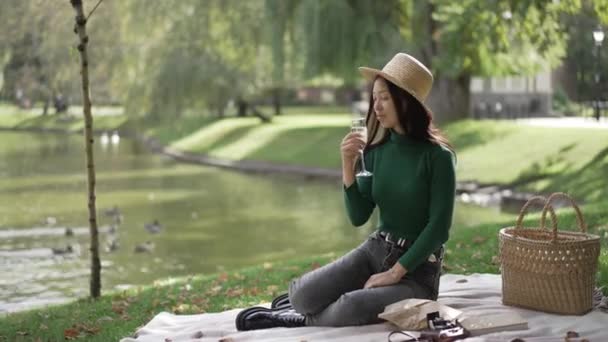 Amplio Tiro Sonriente Asiática Delgada Joven Bebiendo Champán Vidrio Picnic — Vídeo de stock