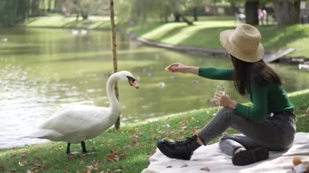 一位身材苗条的年轻女子坐在公园的草地上 把面包伸向白天鹅 在户外阳光明媚的日子里 戴着草帽 戴着香槟酒杯 喂着优雅的小鸟的奎里奥斯亚洲女人 自然和生活方式 — 图库视频影像
