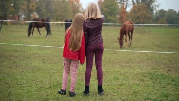 Visão Traseira Garotas Adolescentes Caucasianas Parque Outono Admirando Cavalos Graciosos — Vídeo de Stock