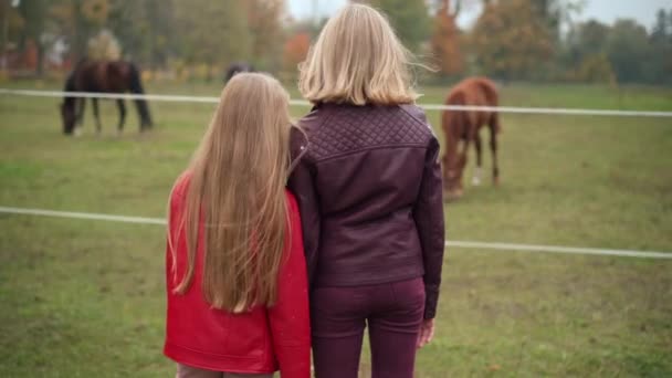 Achteraanzicht Relaxte Meisjes Paddock Met Paarden Die Dieren Buiten Bewonderen — Stockvideo